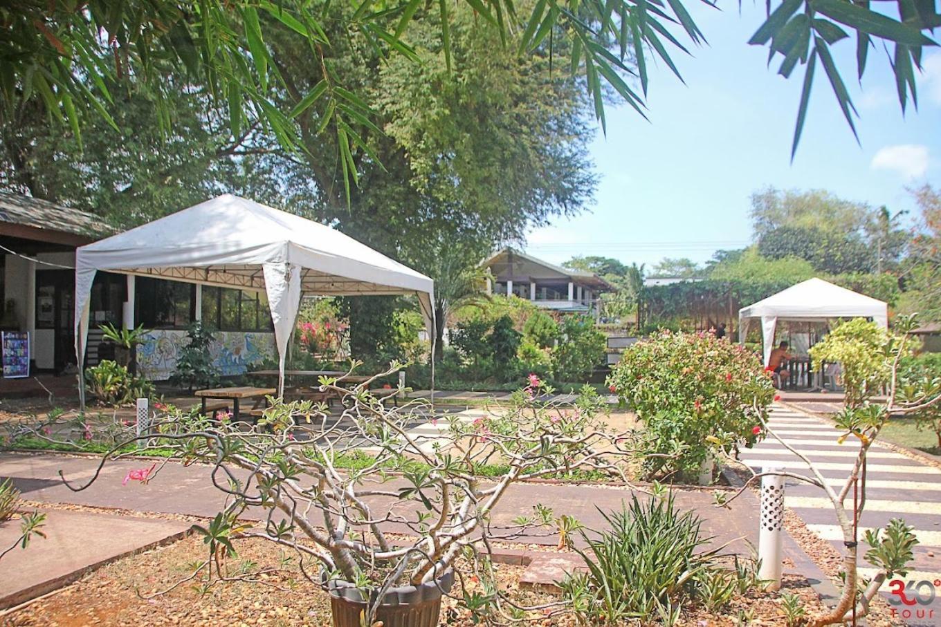 פורטו פרינססה Ponce De Leon Garden Resort Powered By Aston מראה חיצוני תמונה
